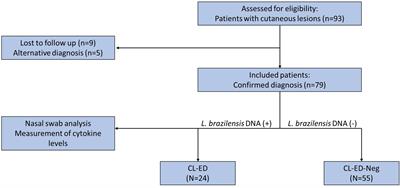 The Presence of Leishmania braziliensis DNA in the Nasal Mucosa of Cutaneous Leishmaniasis Patients and the Search for Possible Clinical and Immunological Patterns of Disease Progression: A Cross Sectional Study